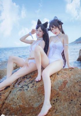 电视剧一树桃花开免费观看