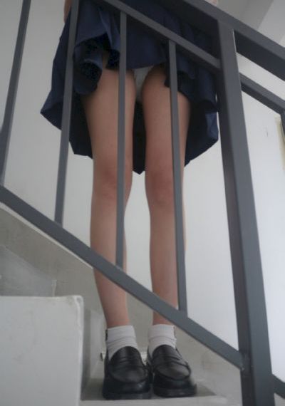 嘉庆王朝