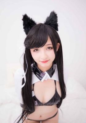 免费黄色网战